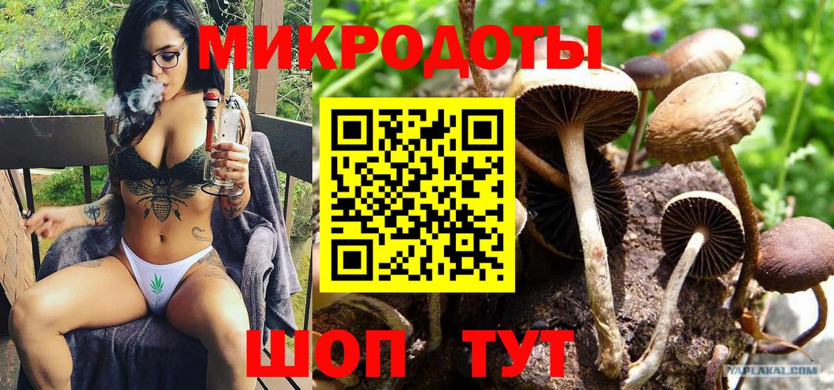 продажа наркотиков  Вход с VPN  Топки  Псилоцибиновые грибы мицелий 